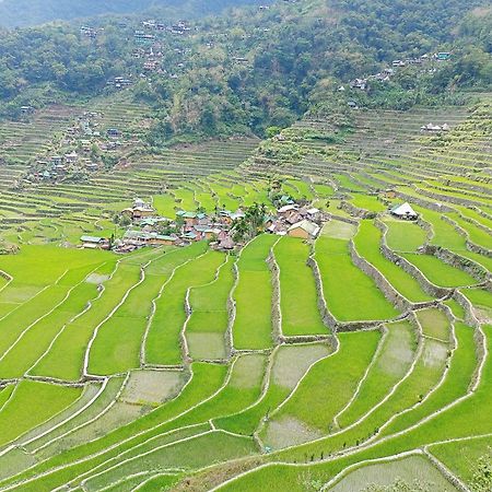 Banaue Transient House Bed And Breakfast Ngoại thất bức ảnh
